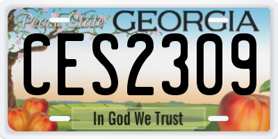 GA license plate CES2309