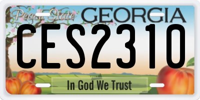 GA license plate CES2310
