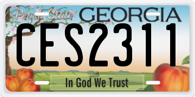 GA license plate CES2311