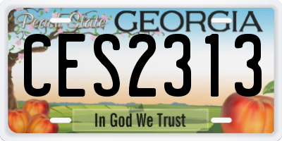 GA license plate CES2313