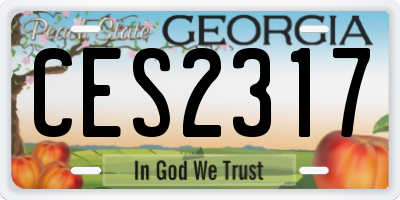 GA license plate CES2317