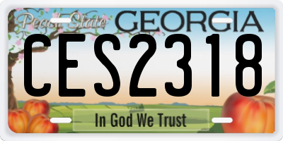 GA license plate CES2318