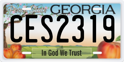 GA license plate CES2319