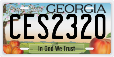 GA license plate CES2320