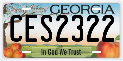 GA license plate CES2322