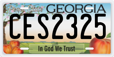 GA license plate CES2325