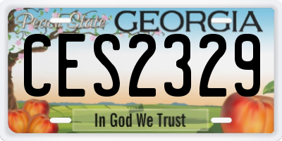 GA license plate CES2329