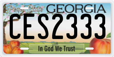 GA license plate CES2333