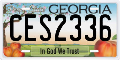 GA license plate CES2336
