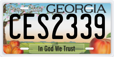 GA license plate CES2339