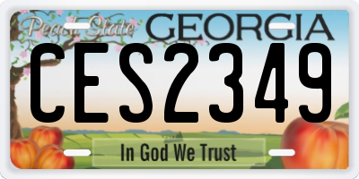 GA license plate CES2349