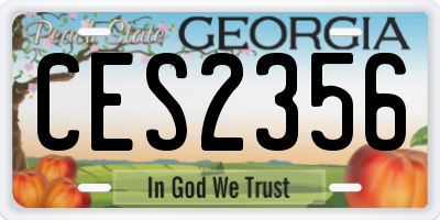 GA license plate CES2356