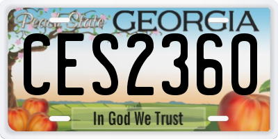 GA license plate CES2360