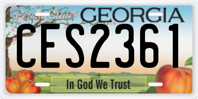 GA license plate CES2361