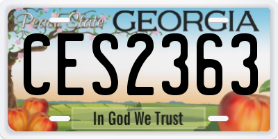 GA license plate CES2363