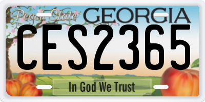 GA license plate CES2365