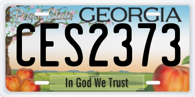 GA license plate CES2373