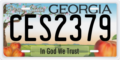 GA license plate CES2379