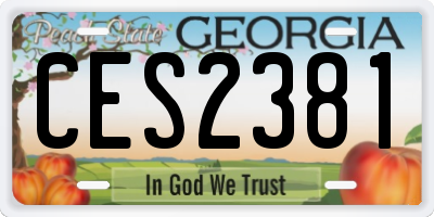 GA license plate CES2381