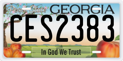 GA license plate CES2383