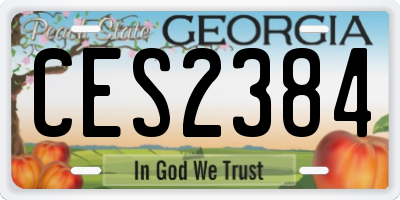 GA license plate CES2384