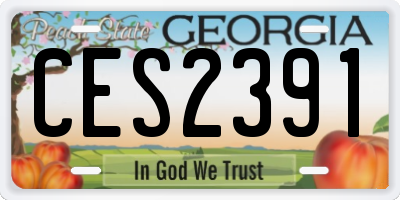 GA license plate CES2391