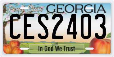 GA license plate CES2403