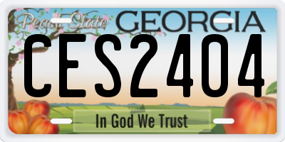 GA license plate CES2404