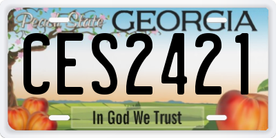 GA license plate CES2421