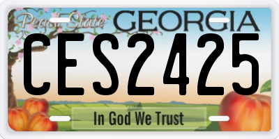 GA license plate CES2425