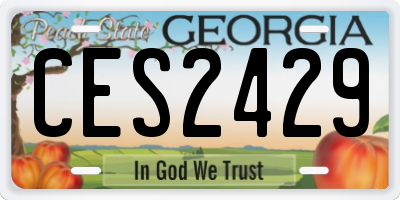 GA license plate CES2429