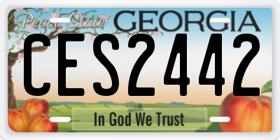 GA license plate CES2442