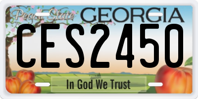 GA license plate CES2450