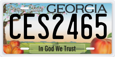 GA license plate CES2465