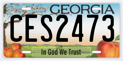GA license plate CES2473