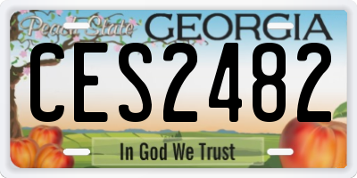 GA license plate CES2482
