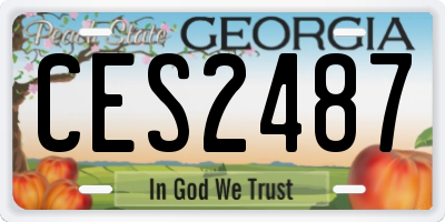 GA license plate CES2487