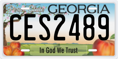 GA license plate CES2489