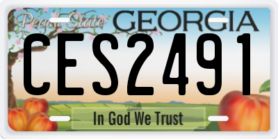 GA license plate CES2491