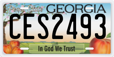 GA license plate CES2493