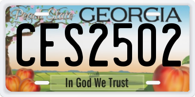 GA license plate CES2502