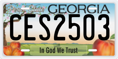 GA license plate CES2503