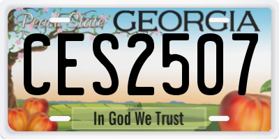 GA license plate CES2507