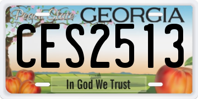 GA license plate CES2513