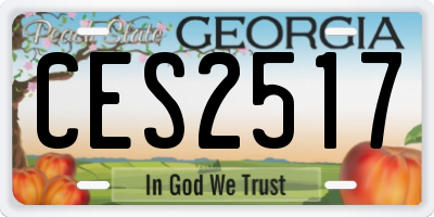 GA license plate CES2517