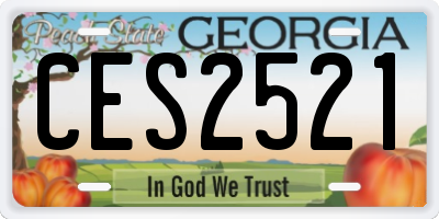 GA license plate CES2521