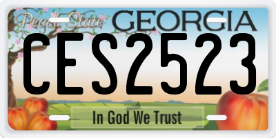 GA license plate CES2523