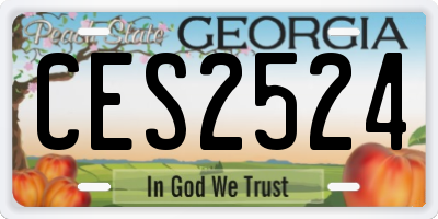 GA license plate CES2524