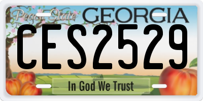 GA license plate CES2529