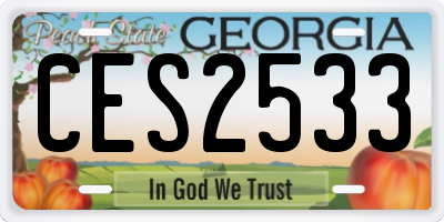 GA license plate CES2533